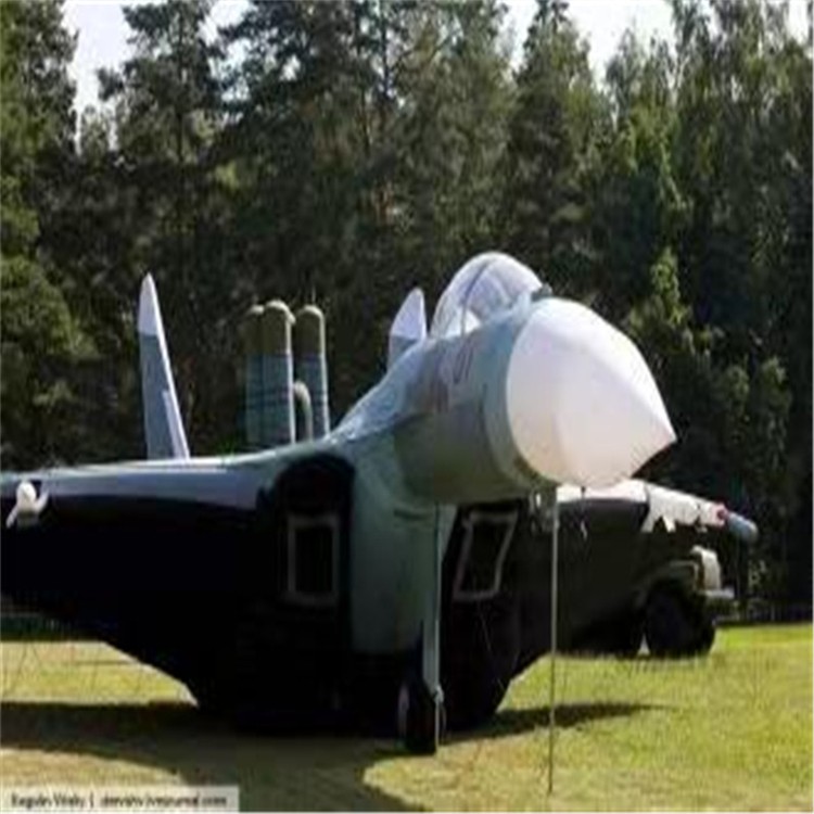 柳州充气模型飞机制造商家